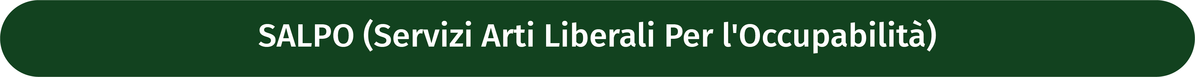 Pulsante con titolo: SALPO (Servizi Arti Liberali Per l'Occupabilità)