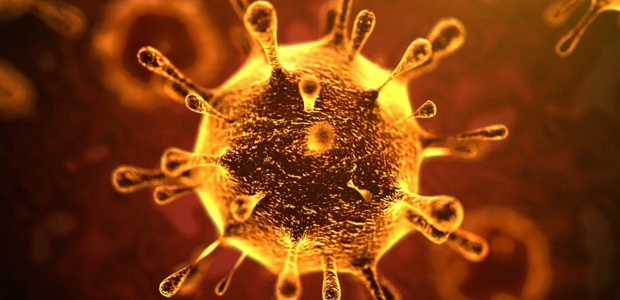 Immagine del corona virus