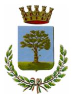 logo del Comune di Bovolone