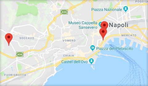 Le sedi Sinapsi