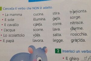 Primo esercizio sul libro scolastico