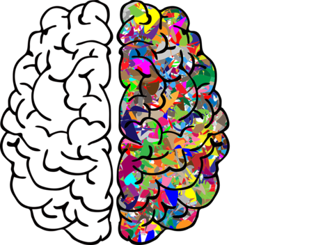 un cervello stilizzato con i colori lgbt+