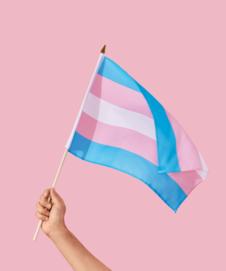 bandiera dei diritti delle persone trans