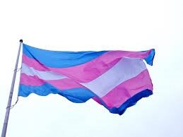 bandiera dei diritti delle persone trans
