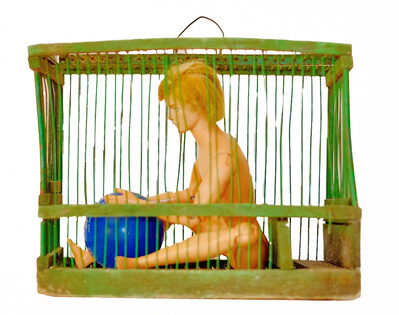 Uccello in gabbia, Paolo Valerio, 2023