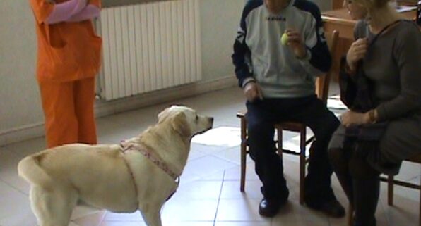 un cane durante un incontro di pet therapy