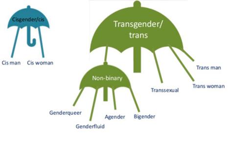 Mappa termini identità non binary