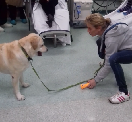 un'operatrice e il suo cane durante un incontro di pet therapy