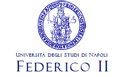 Logo Università di Napoli Federico II