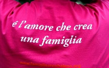 maglietta delle famiglie arcobaleno con scritta frase: è l'amore che crea una famiglia